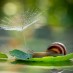 Laager: Intuitsioon ja pedagoogika